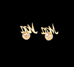 Beautiful Earring
