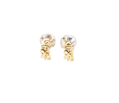 Curing Earring
