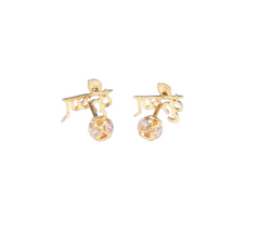 Beautiful Earring