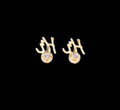 Teardrop Earrings