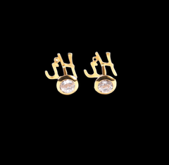 Huggie Earrings