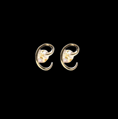 C(3) Letter earring
