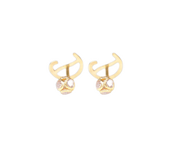 D(1) Letter earring