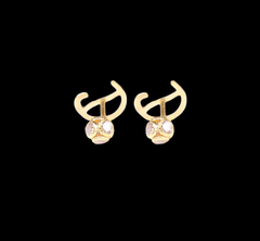 D(1) Letter earring
