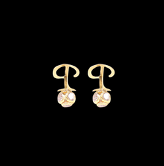 P (1)Letter earring