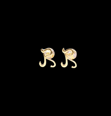 R(!) Letter earring