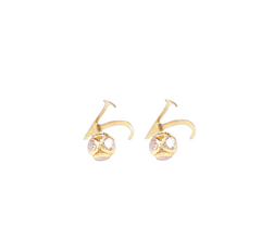 V Word earring